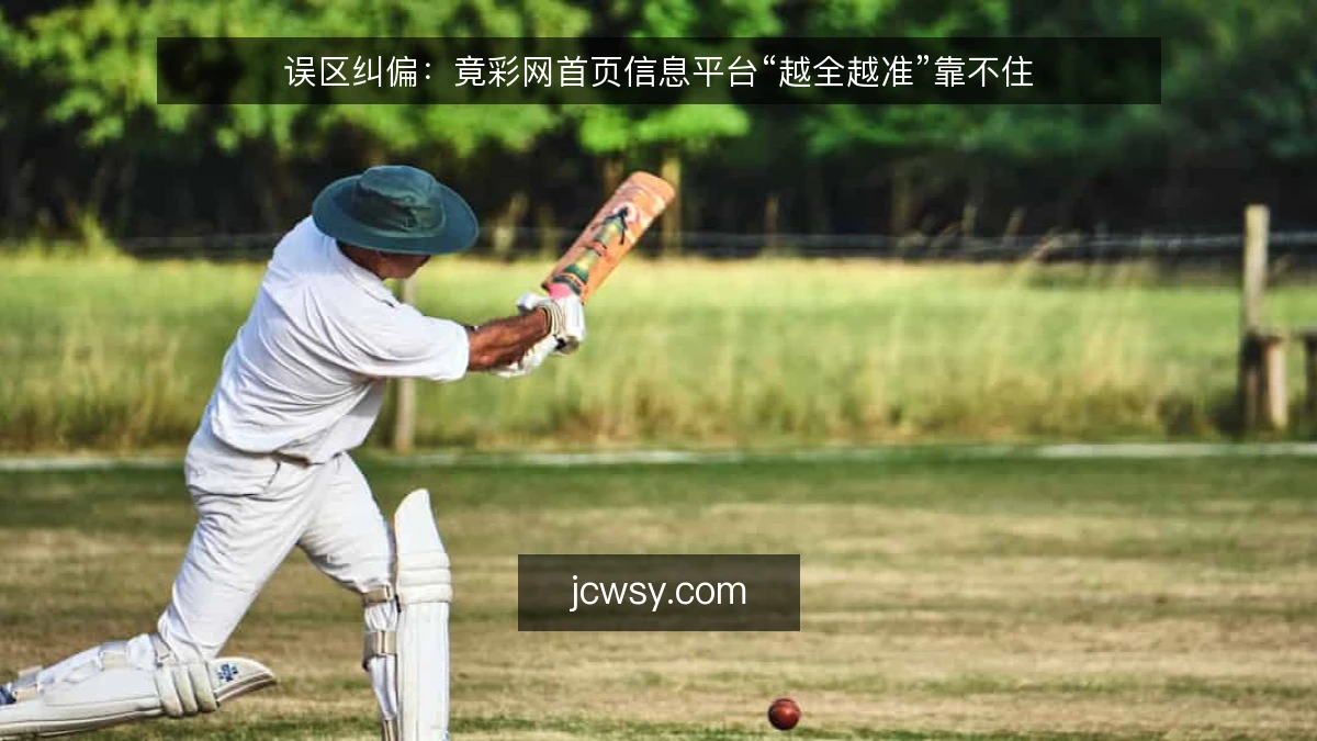 误区纠偏：竟彩网首页信息平台“越全越准”靠不住