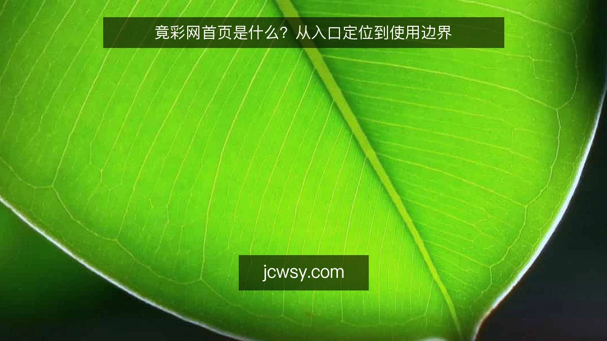 竟彩网首页是什么?从入口定位到使用边界