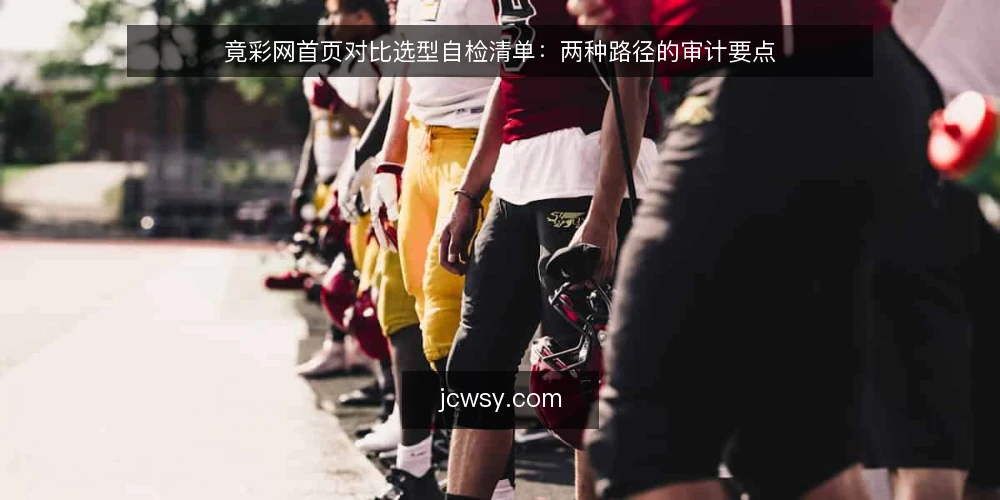 竟彩网首页对比选型自检清单：两种路径的审计要点 — 先定决策标准，再谈选型 配图